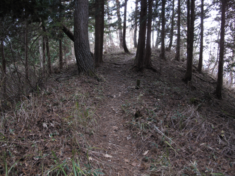 20181126hike (284)